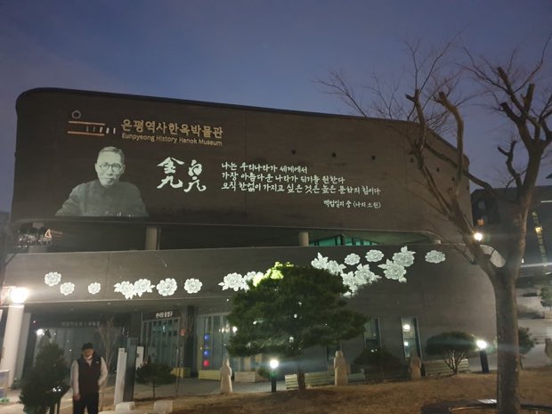 야간 건물 벽면에 투사된 꽃 패턴