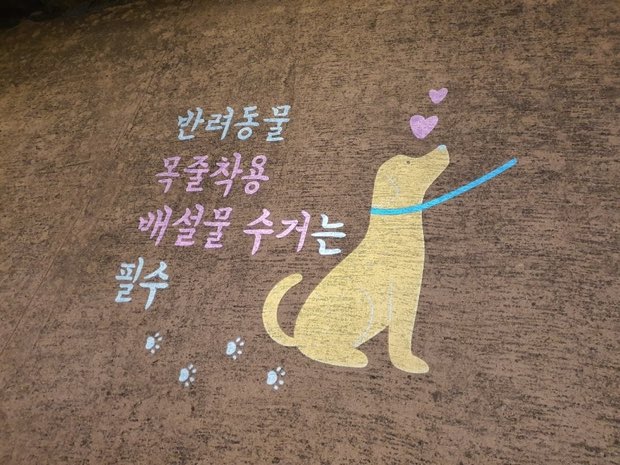 보도에 투사된 반려동물 목줄 안내